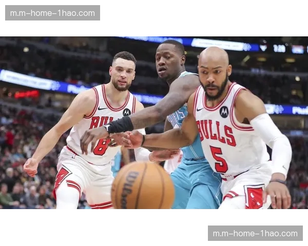 公牛主场32分惨败黄蜂 拉文伤退后球队攻防体系崩塌